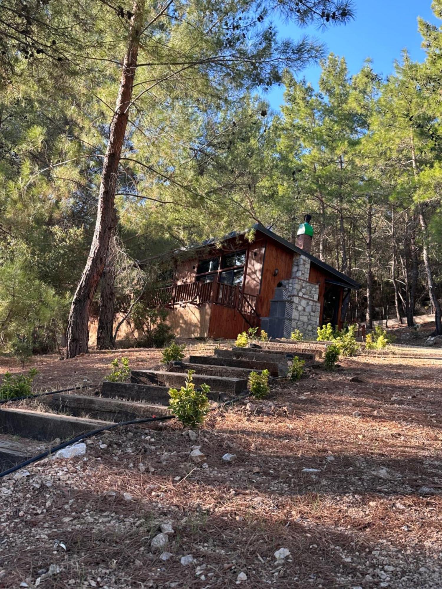 Panurlawoodenhouse Oezel Havuz& Sauna Mavi Exterior foto